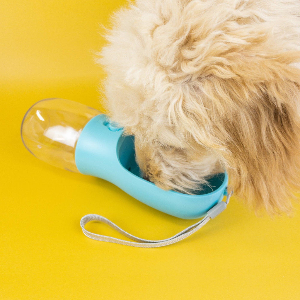 Pet Water Bottle: Turquoise