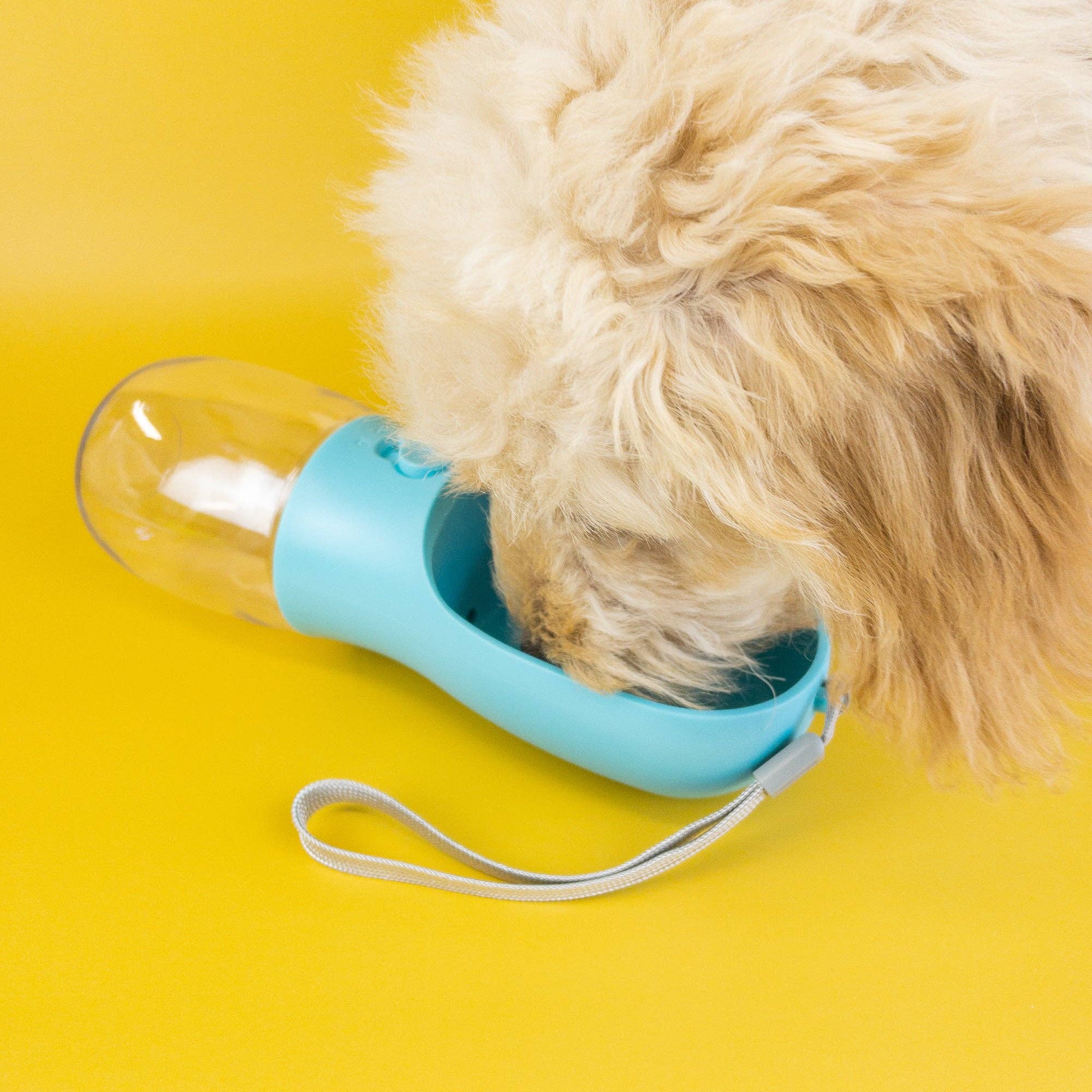 Pet Water Bottle: White