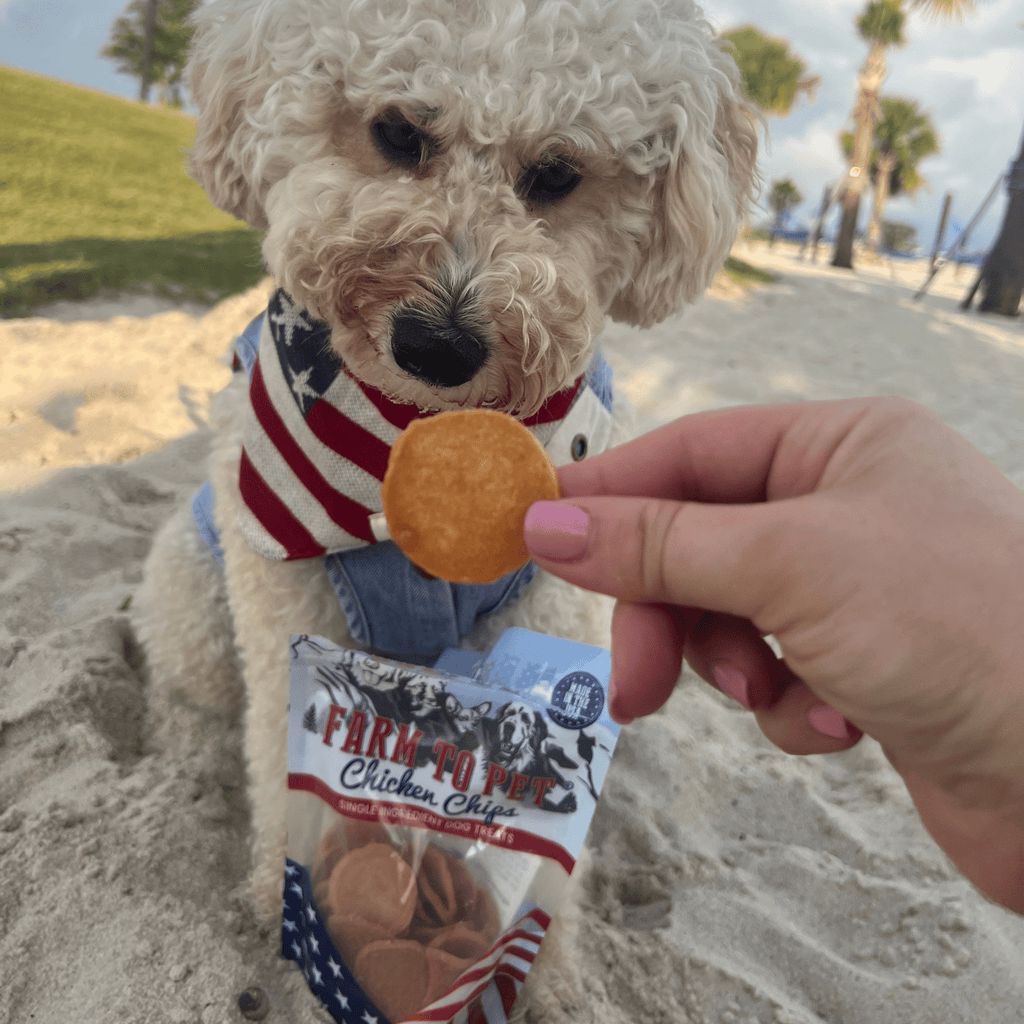 Americana Chicken Chips Dog Treats: 4oz