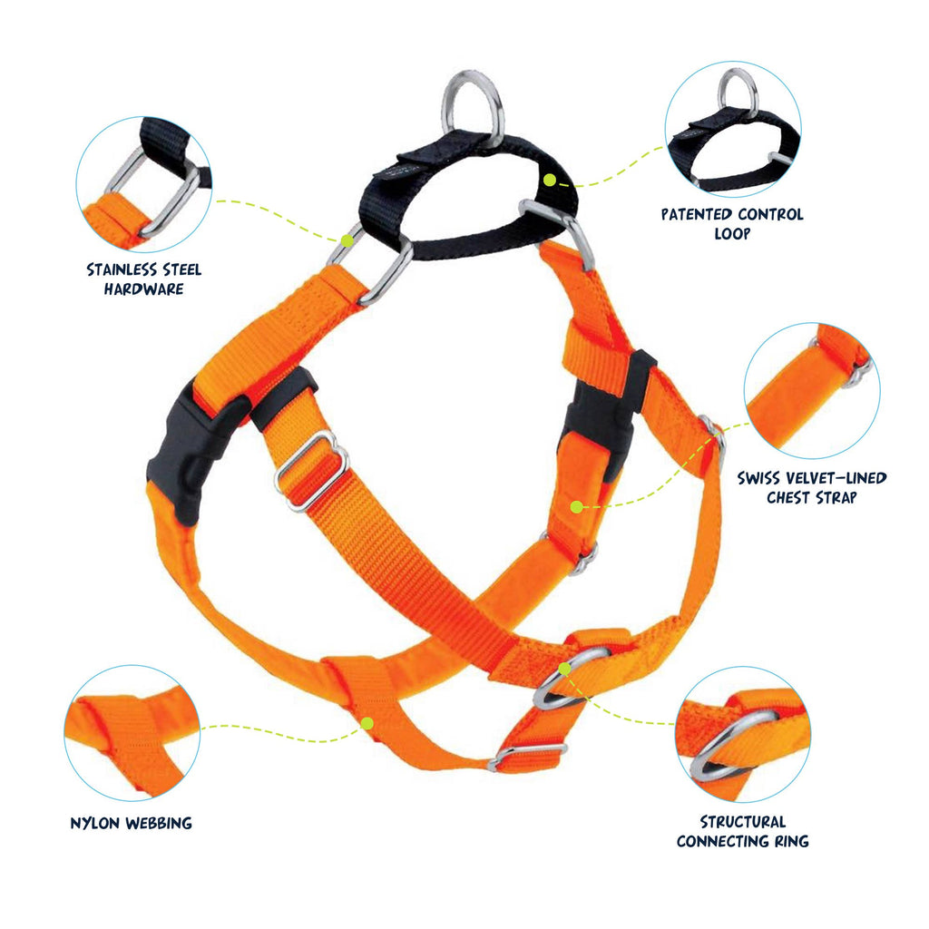 Neon Orange Freedom No-Pull Dog Harness Only: 1" X Large