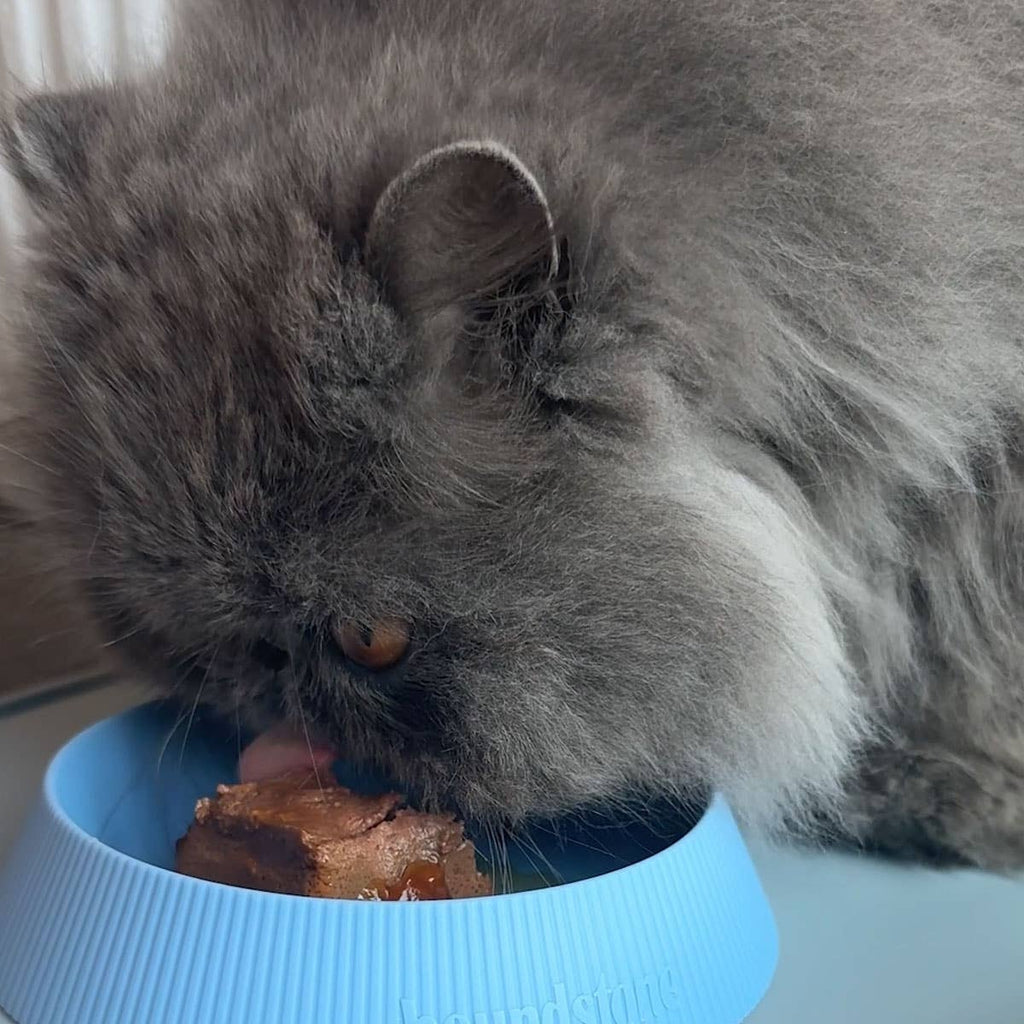 Houndstone Silicone Cat Bowl
