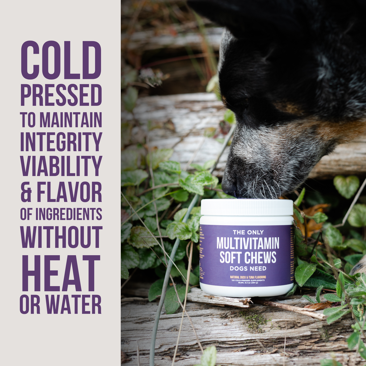 The Only Multivitamin Soft Chews Dogs Need: 12 count pouch
