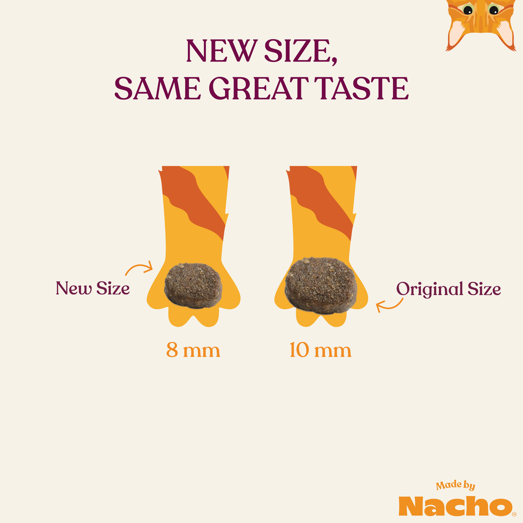Bone Broth Infused Kibble Sustainably Caught Salmon & Pumpkin Recipe: 4 lb Bag