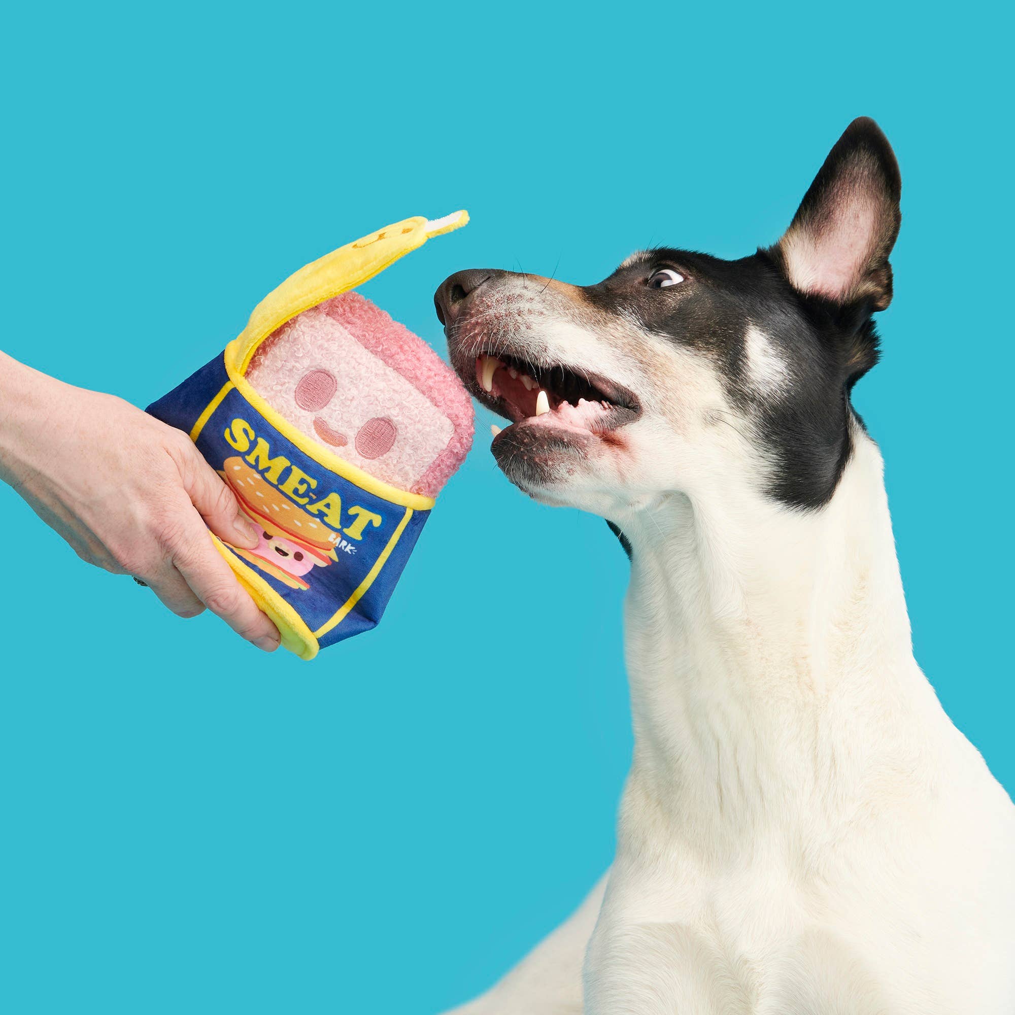 Canned SMEAT Plush Dog Toy XS/S