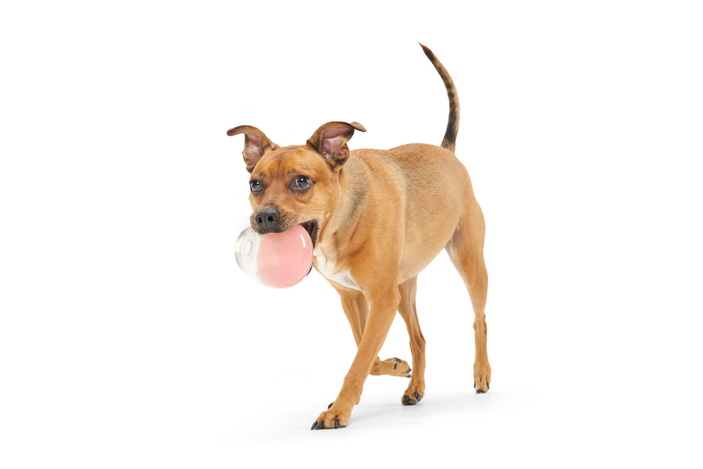 Super Chewer Tipsy Rosé Rubber Wine Dog Toy