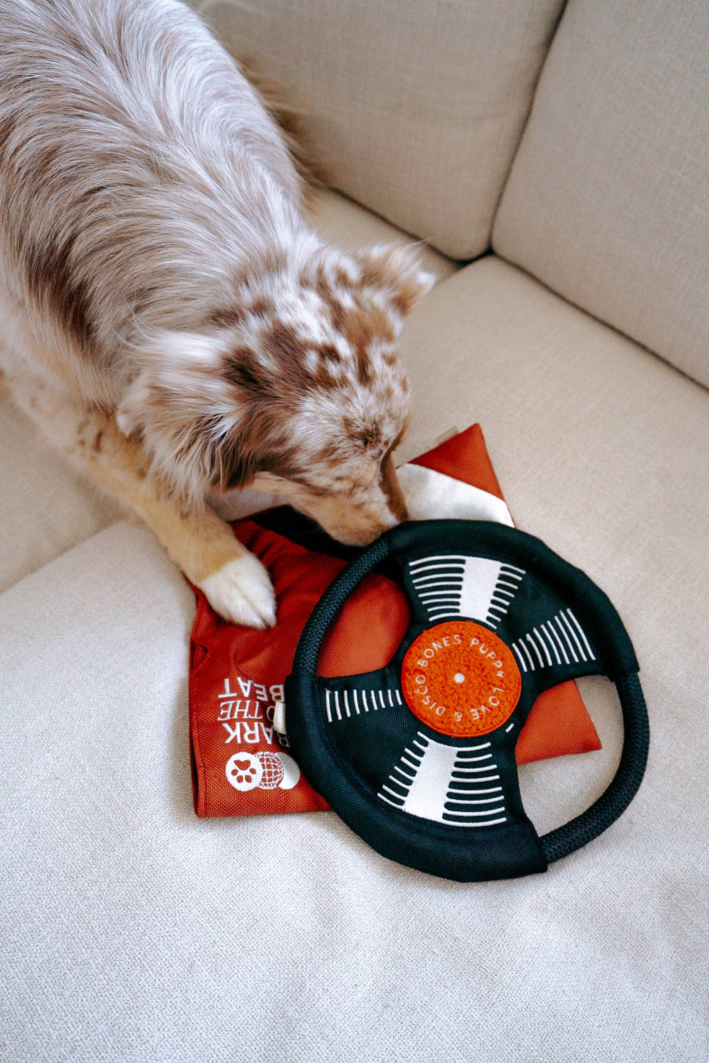 BARK TO BEAT // ENRICHMENT DOG TOY // TUG + SNUFFLE + FETCH