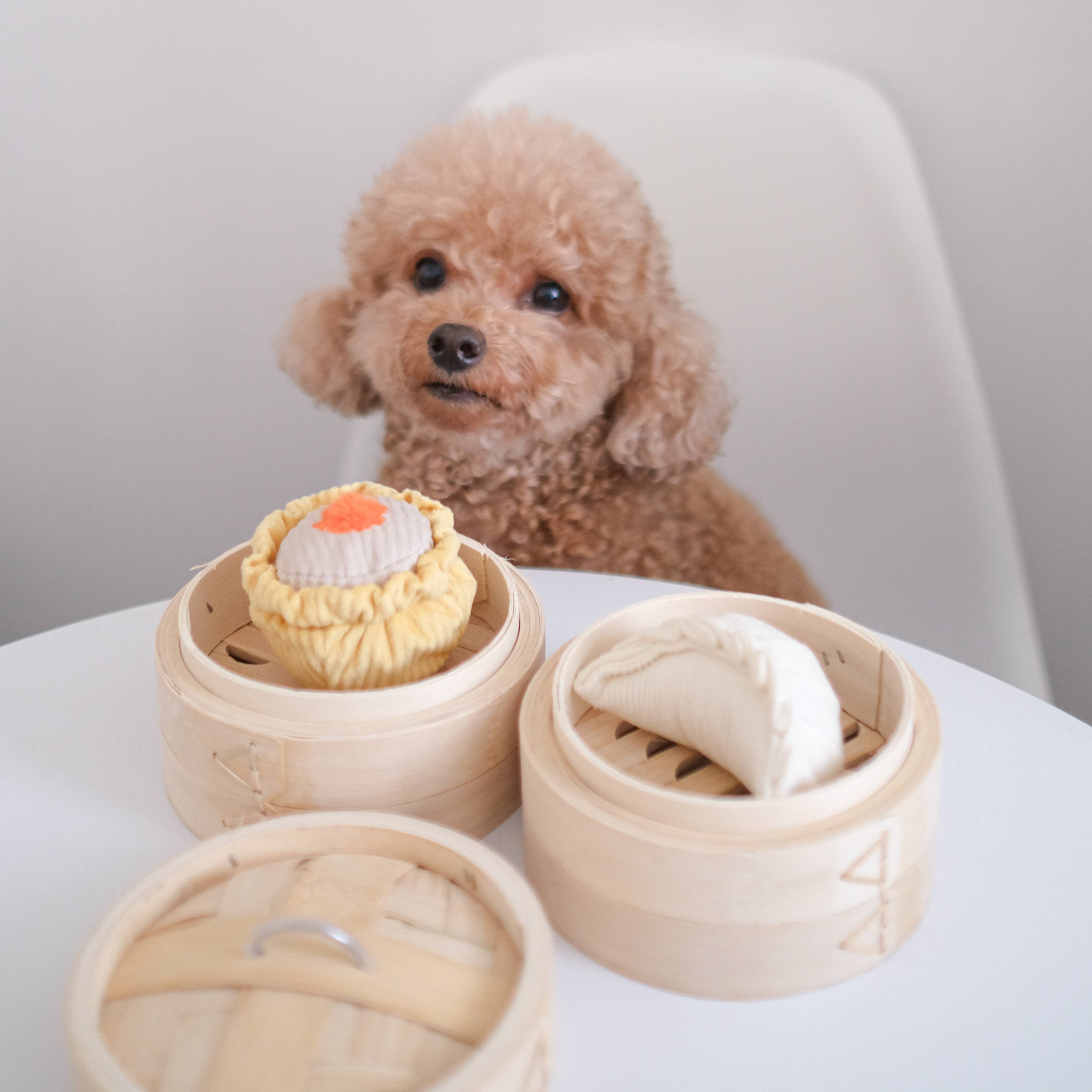 DIM SUM POP // Enrichment dog toy