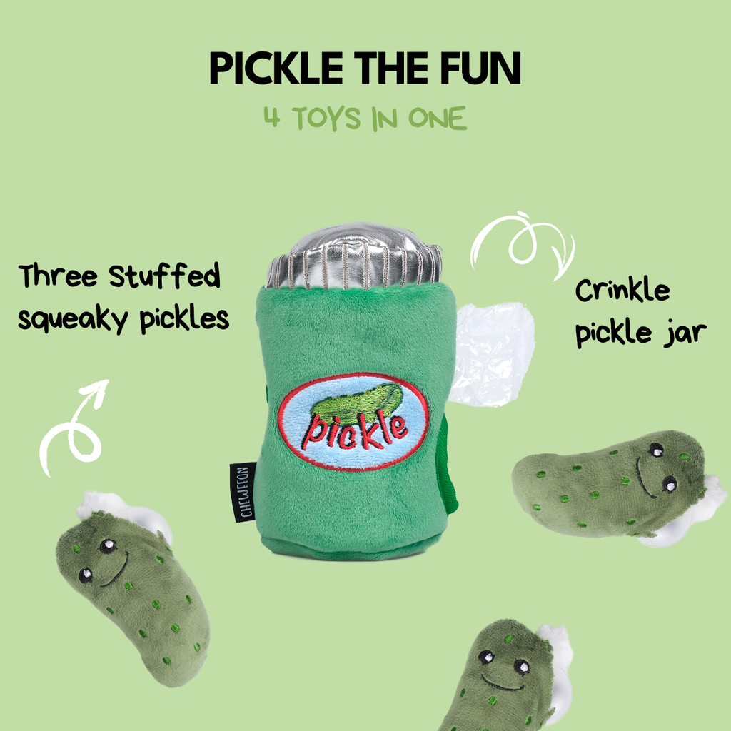 Pickle Jar Hide & Seek Toy