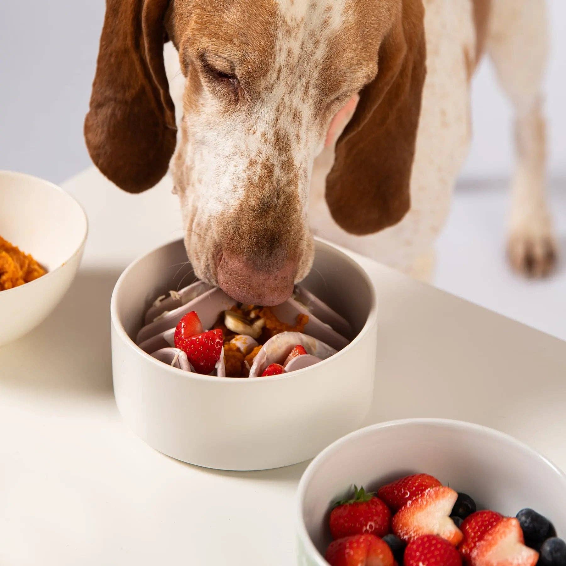 Good Vibes Slow Feeder Mat: MAUVE