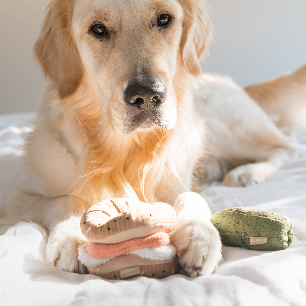 Bagel + Pickle//ENRICHMENT DOG TOY