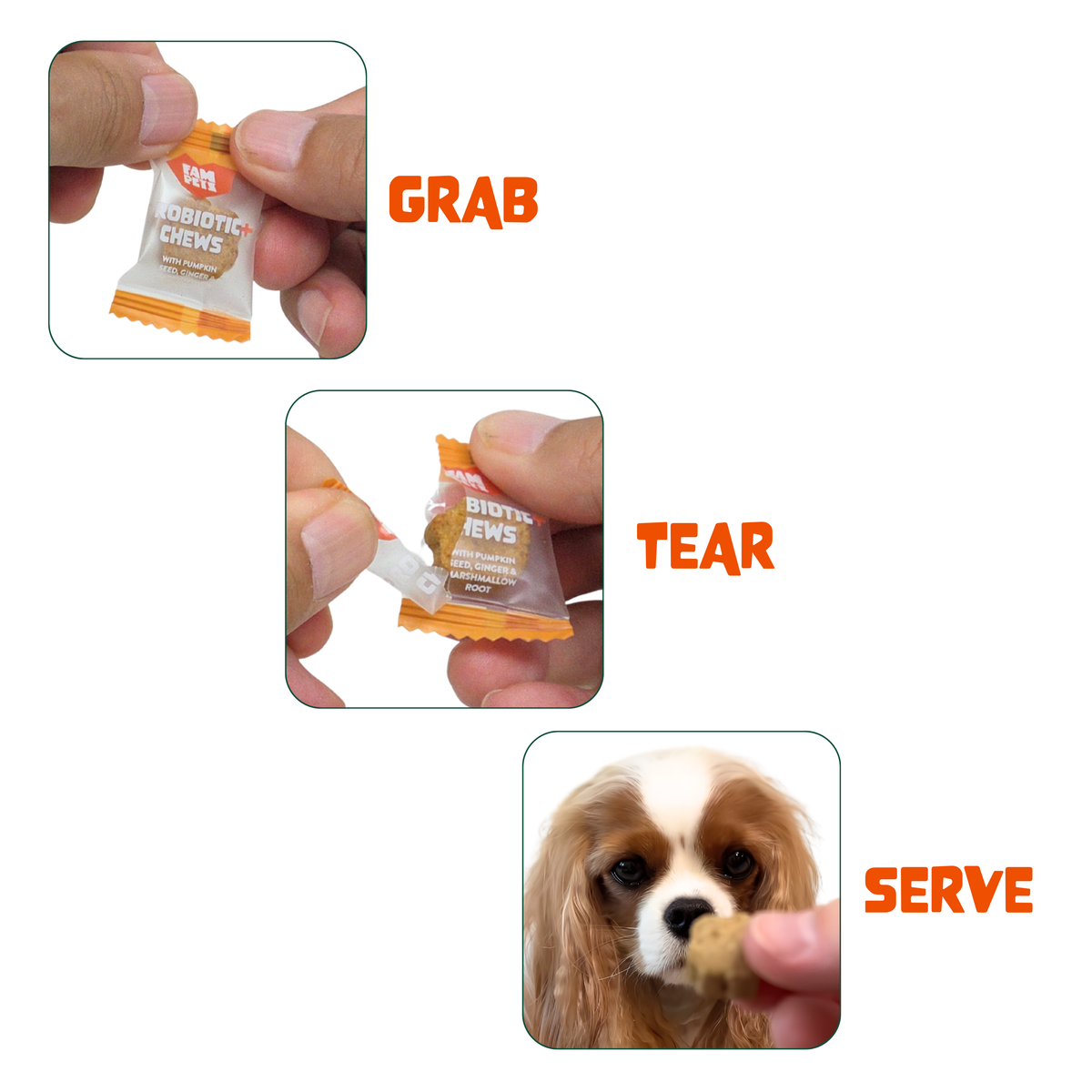 Probiotic+ Soft Chews for Dogs - Digestive Support, Gut Health: 30 Chews