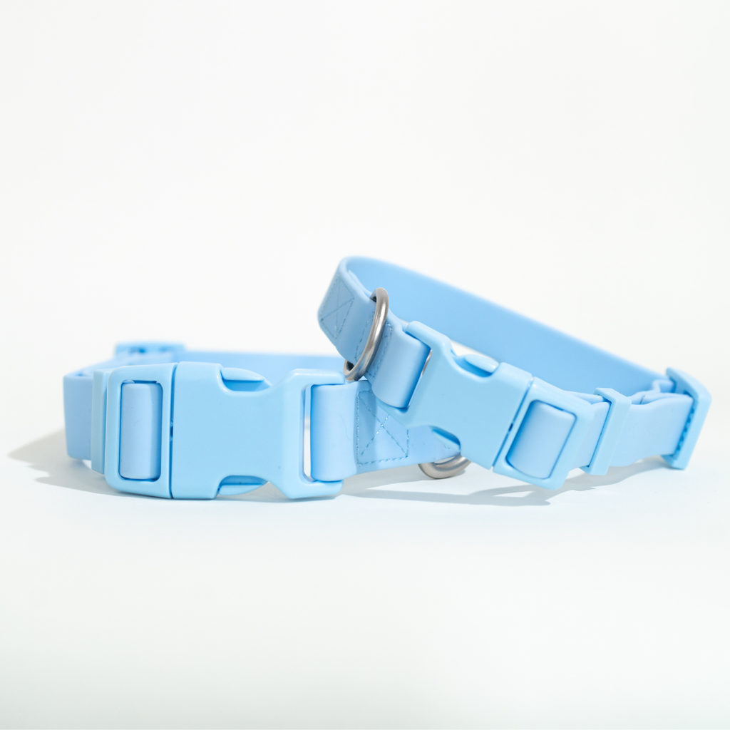 Dog Collar - All-Weather, Adjustable (Small)