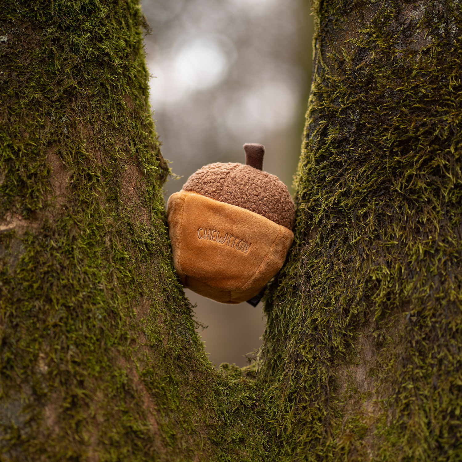 Acorn Snuffle & Squeaky Toy
