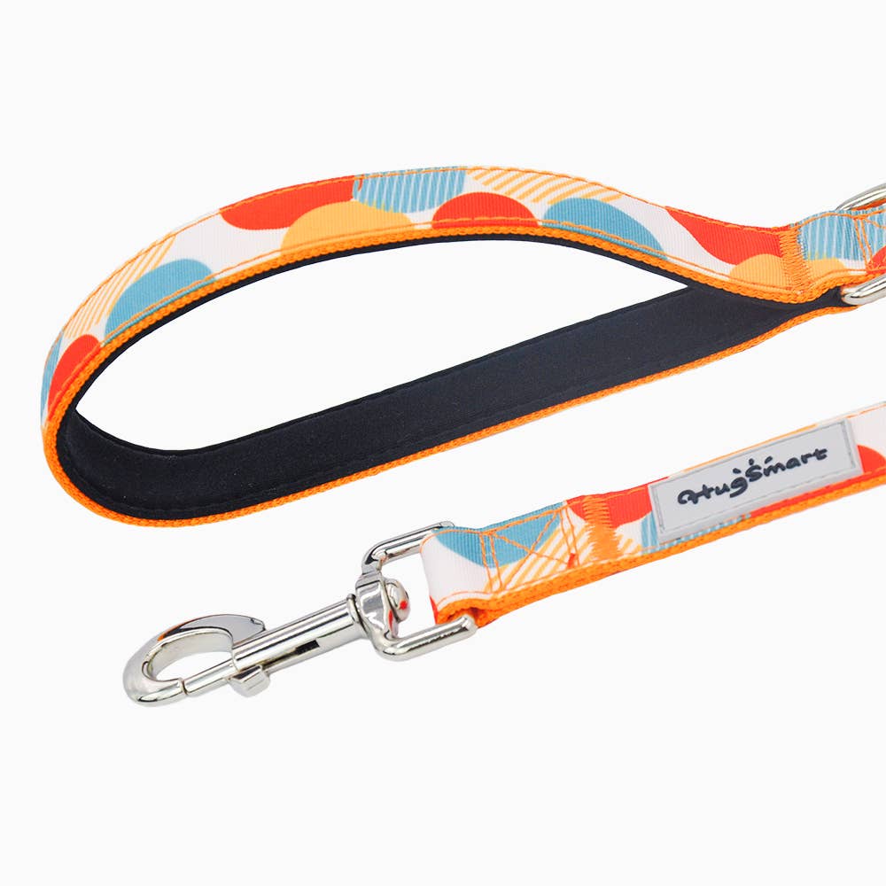 HugSmart Pet - Dog Leash | Dancing Dots