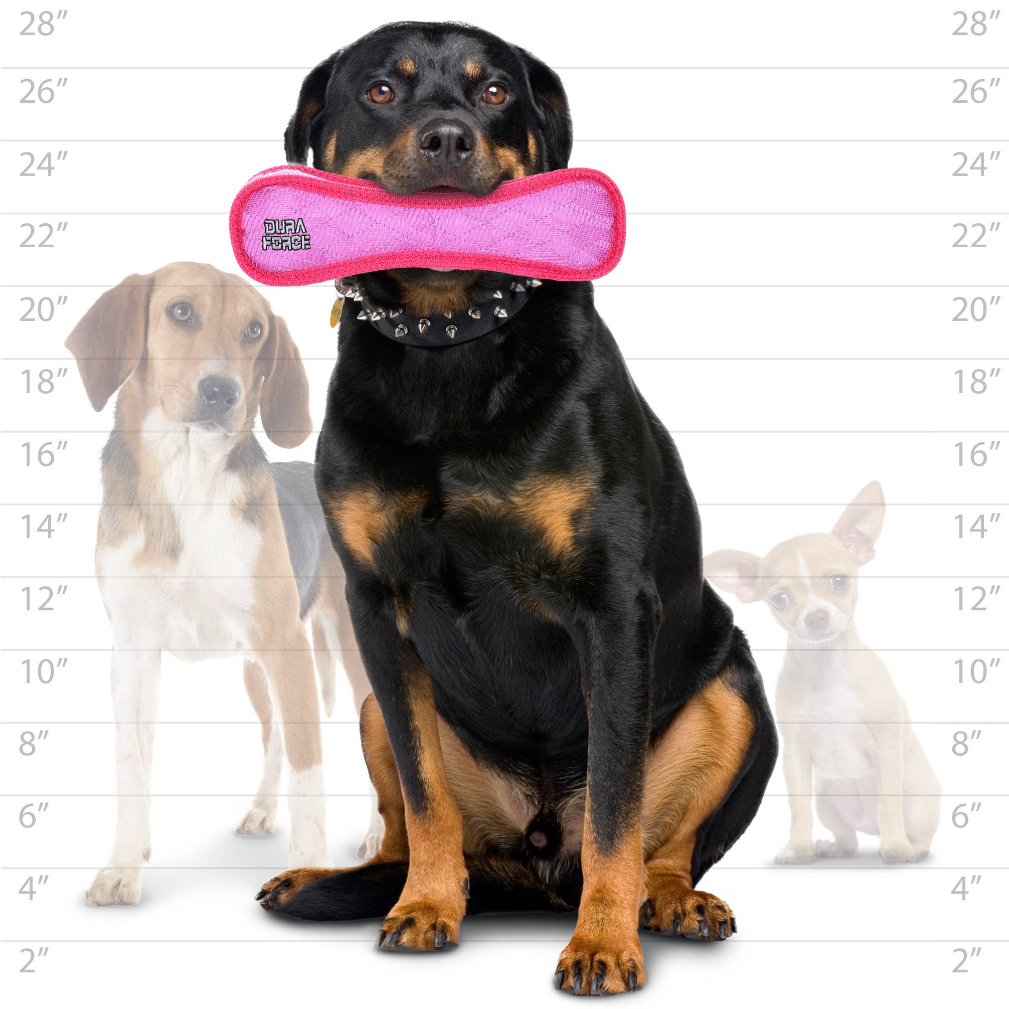 DuraForce Bone Tiger - Pink, Durable, Squeaky Dog Toy
