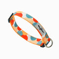 HugSmart Pet - Dog Collar | Dancing Dots