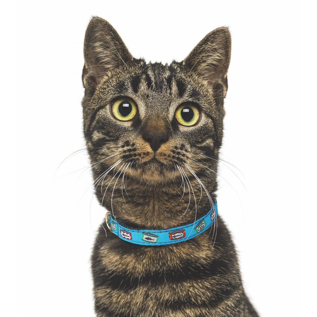 Tuna Cat Collar: 12