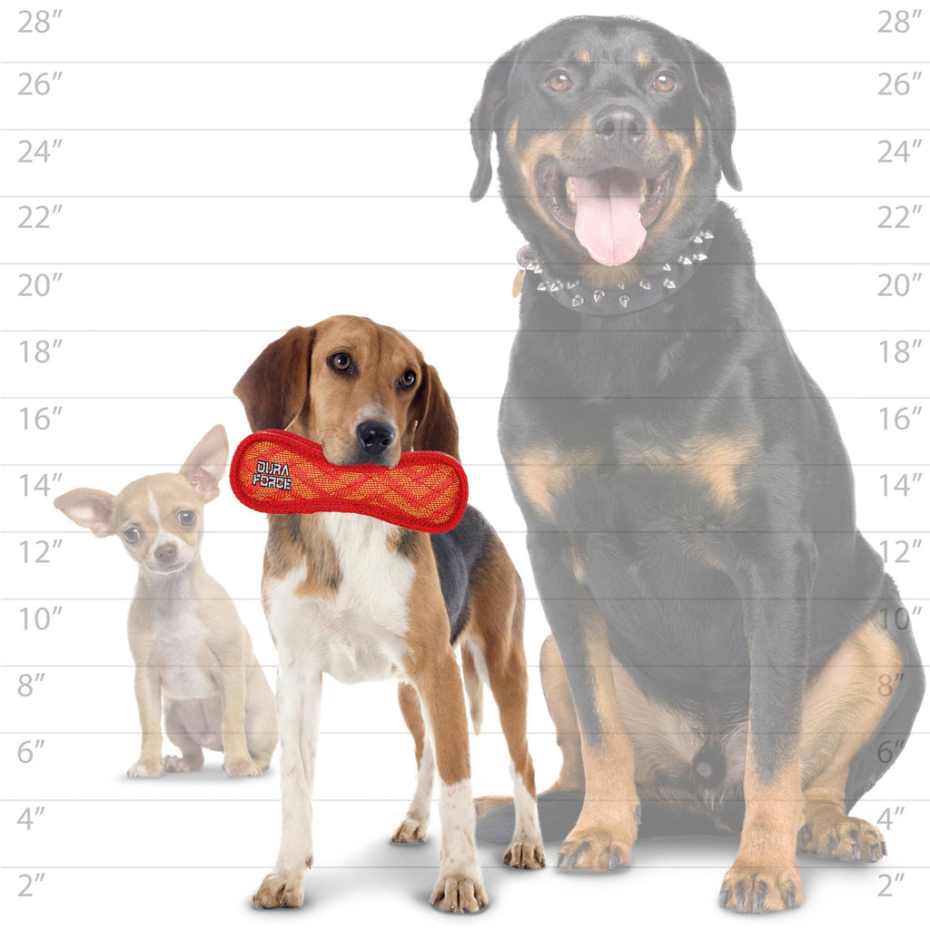 DuraForce Jr Bone Zig Zag - Red, Durable, Squeaky Dog Toy