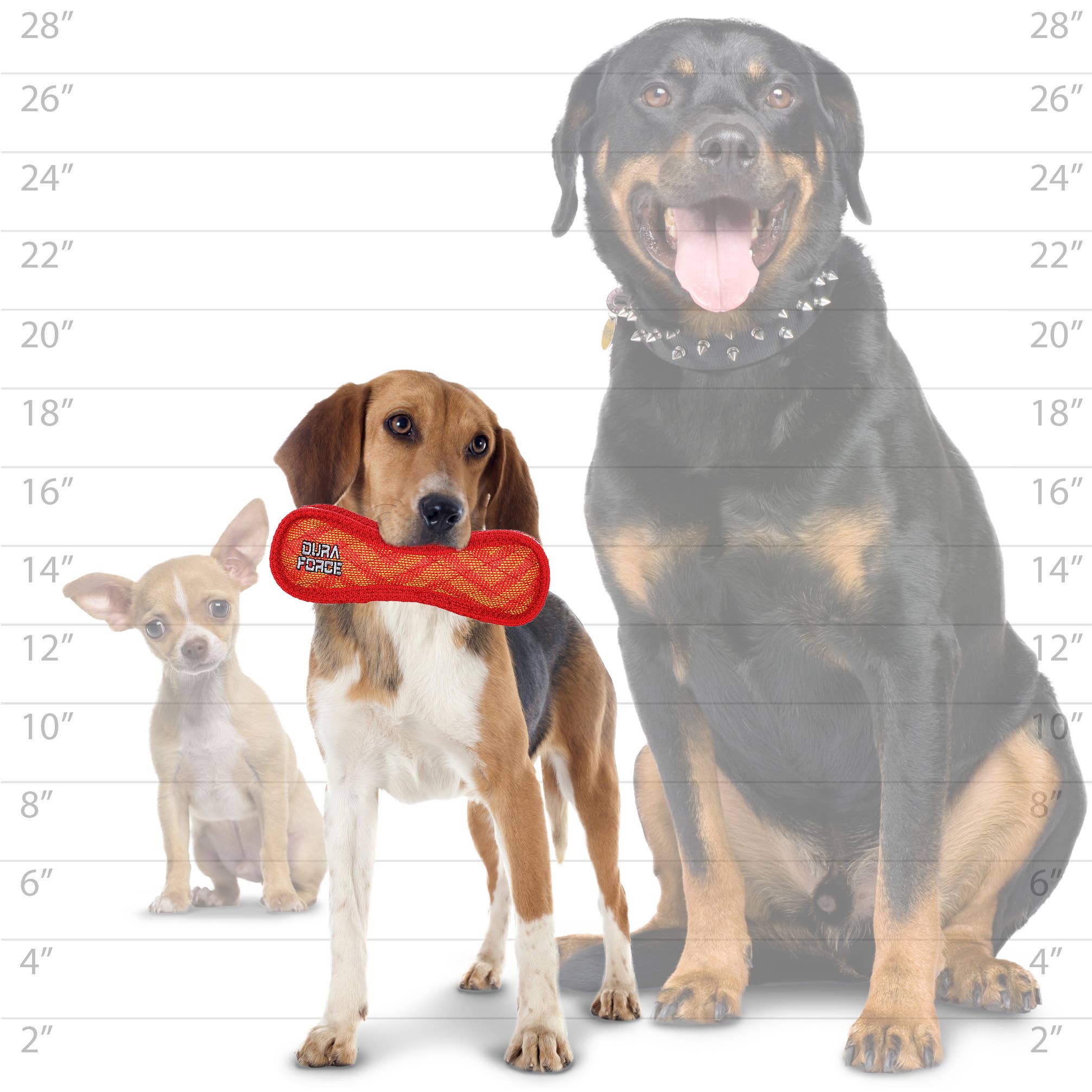 DuraForce Jr Bone Zig Zag - Red, Durable, Squeaky Dog Toy