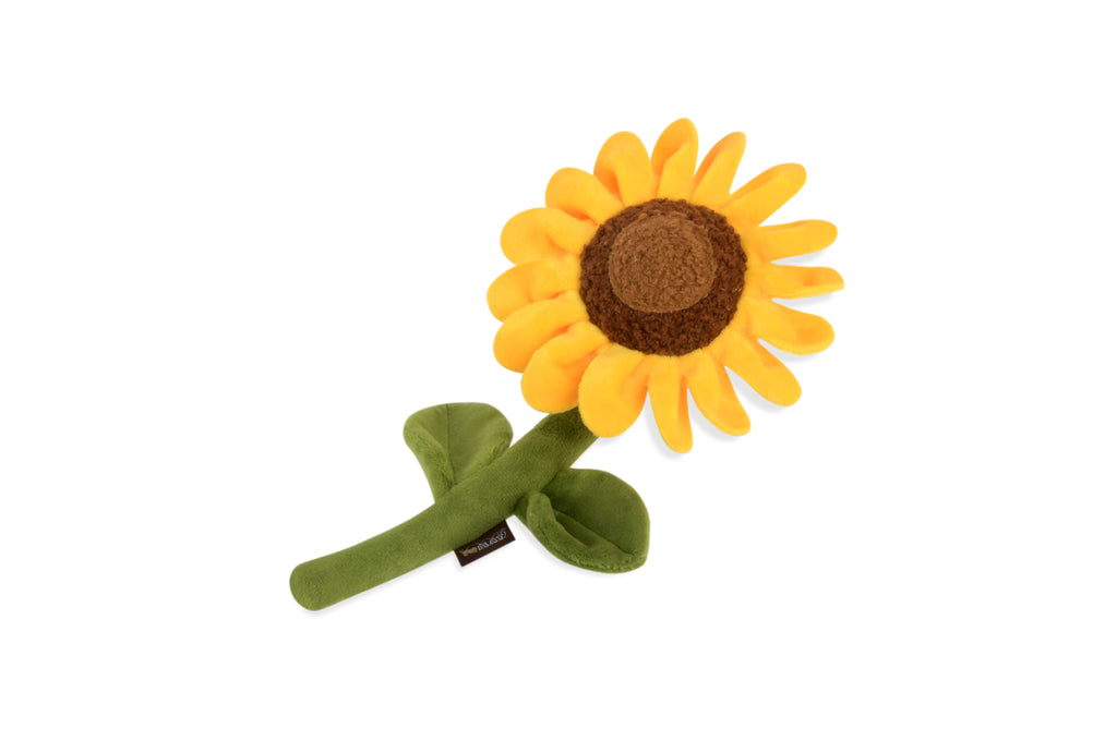 Sunny Sunflower