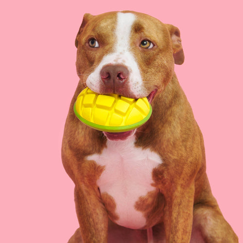 BARK Super Chewer Go Mango Dog Chew Toy L