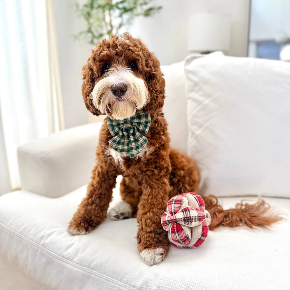 FLANNEL MONTI // ENRICHMENT DOG TOY // HOLIDAY
