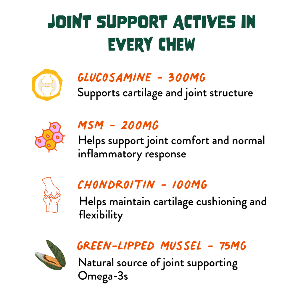 Hip & Joint Soft Chews for Dogs - Glucosamine, MSM, Chondroitin: 30 Chews
