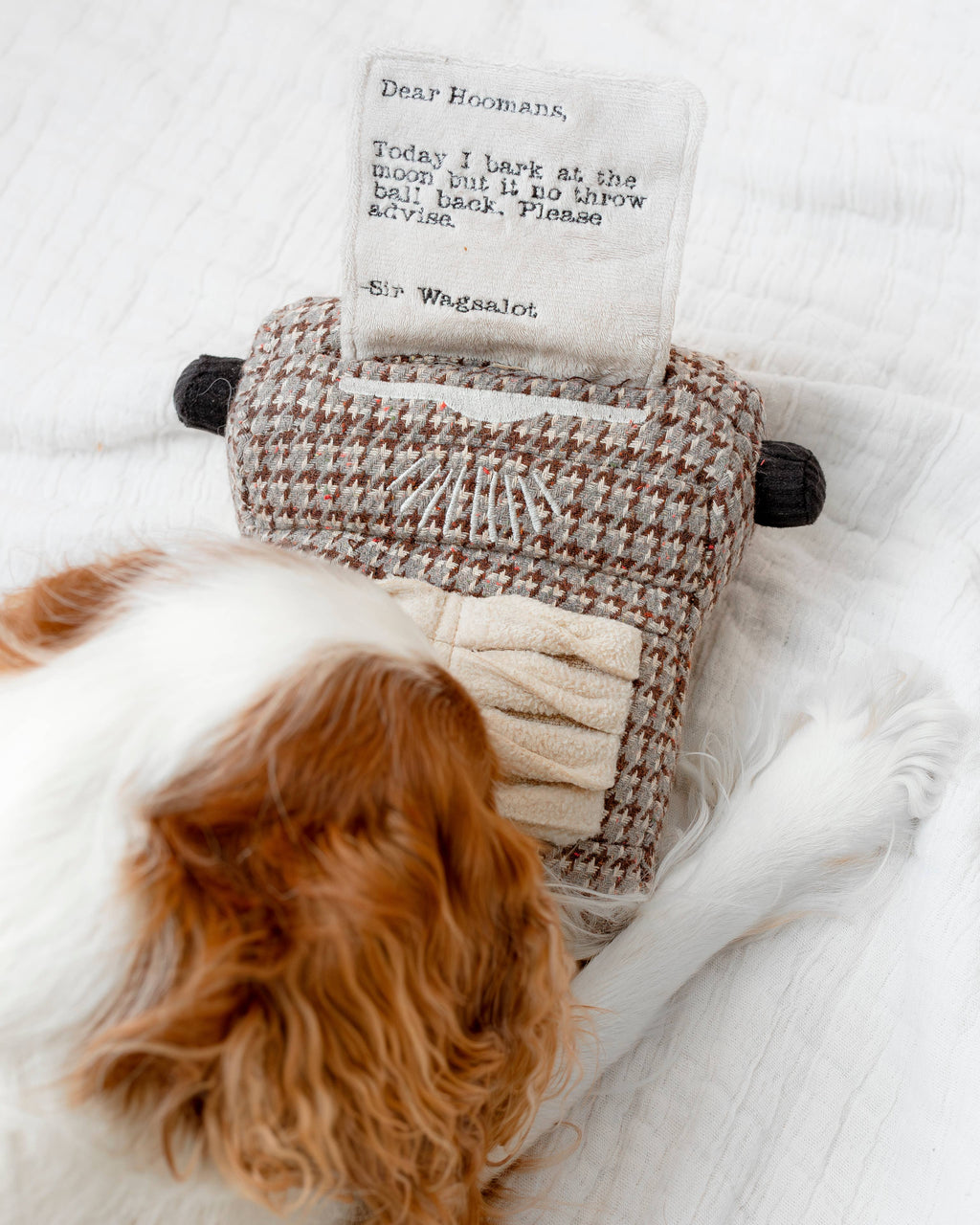 TYPEWRITER//ENRICHMENT DOG TOY