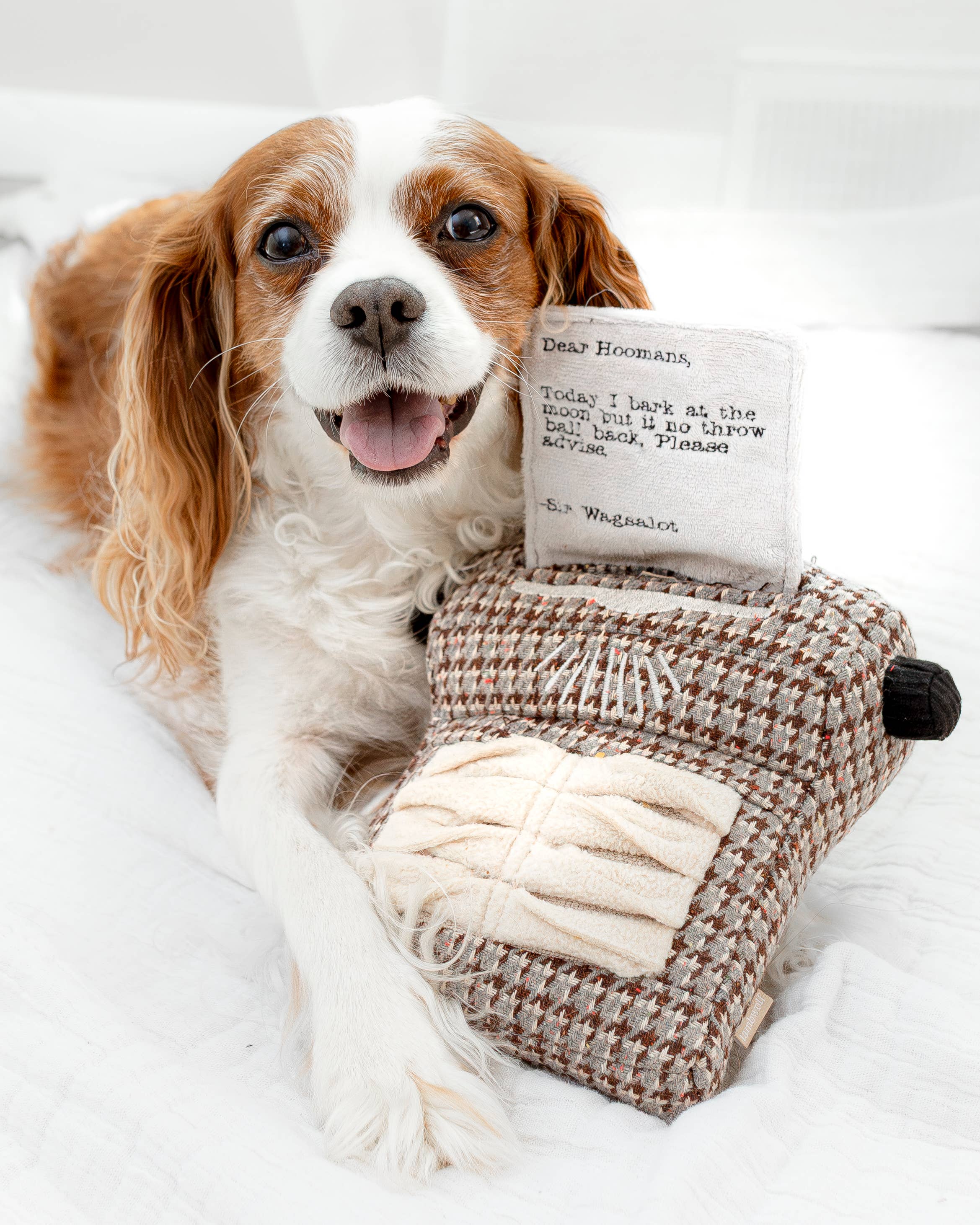 TYPEWRITER//ENRICHMENT DOG TOY