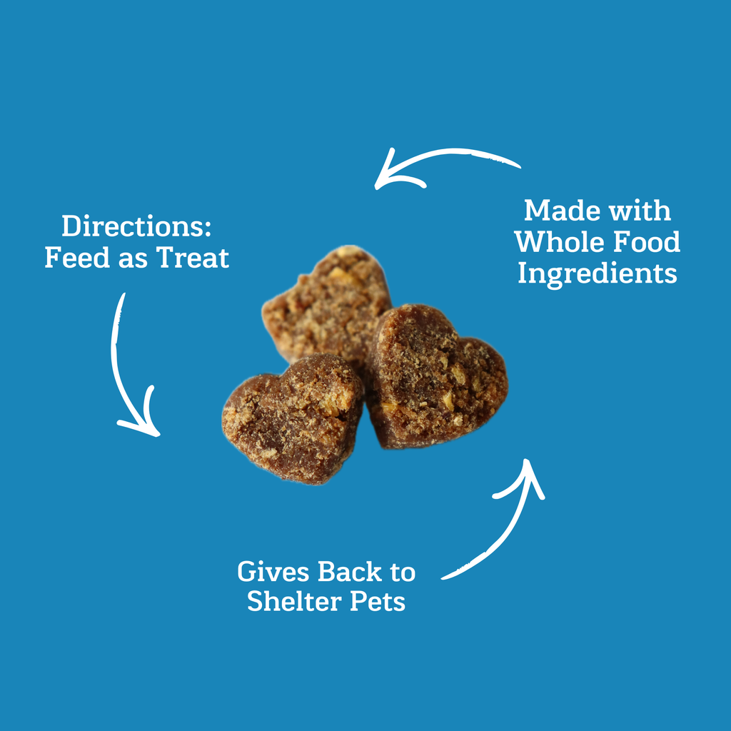 GivePet Gotcha Day Paw-ty Soft-Baked Dog Treats