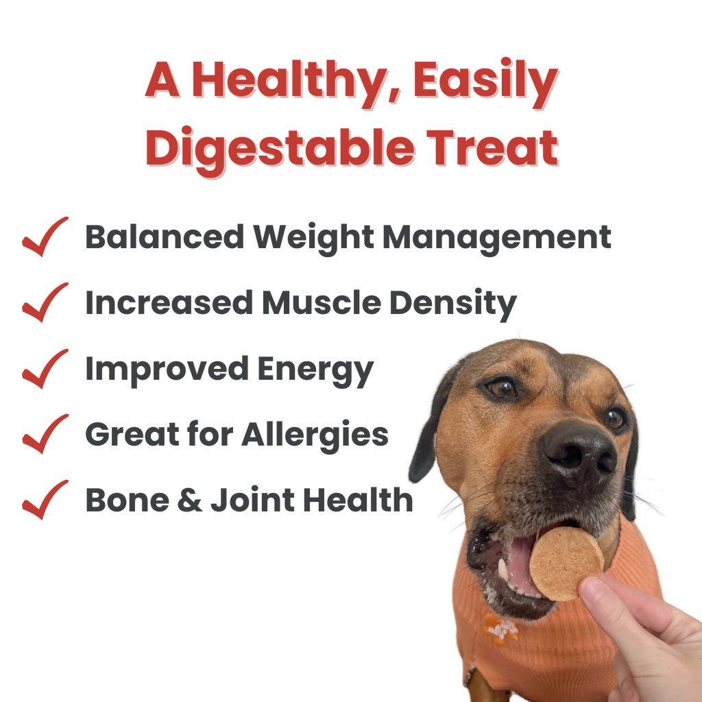 Fish Chips Dog Treats: 12oz