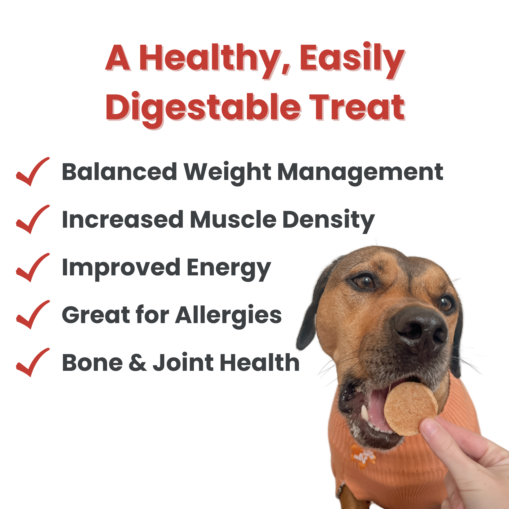Fish Chips Dog Treats: 12oz
