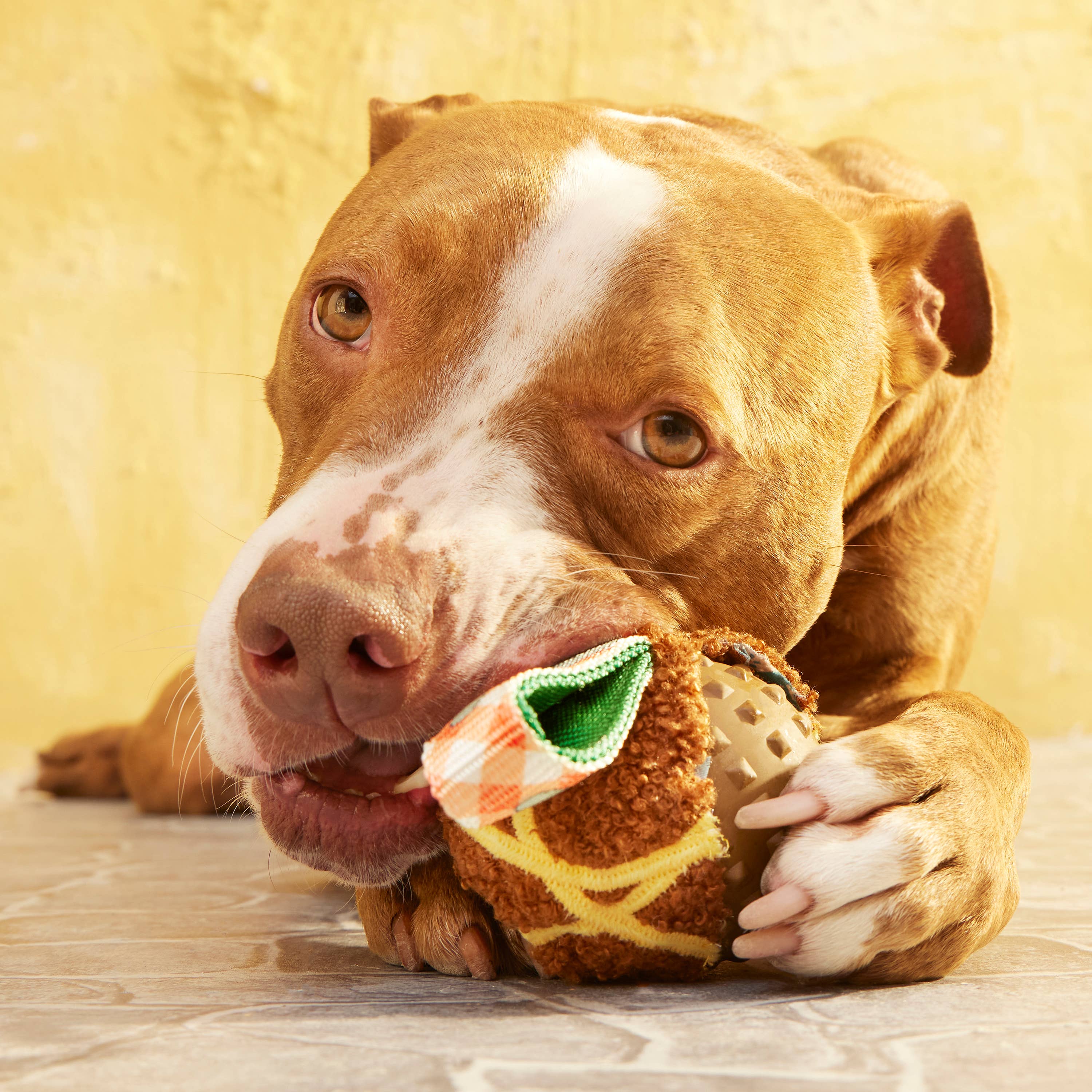 BARK Super Chewer A Squeaky Meat-A-Ball Dog Chew Toy M
