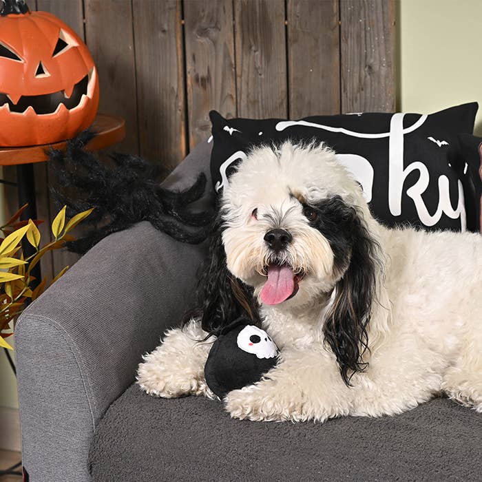 HugSmart Pet - Howloween Night | Grim Reaper Black Ball