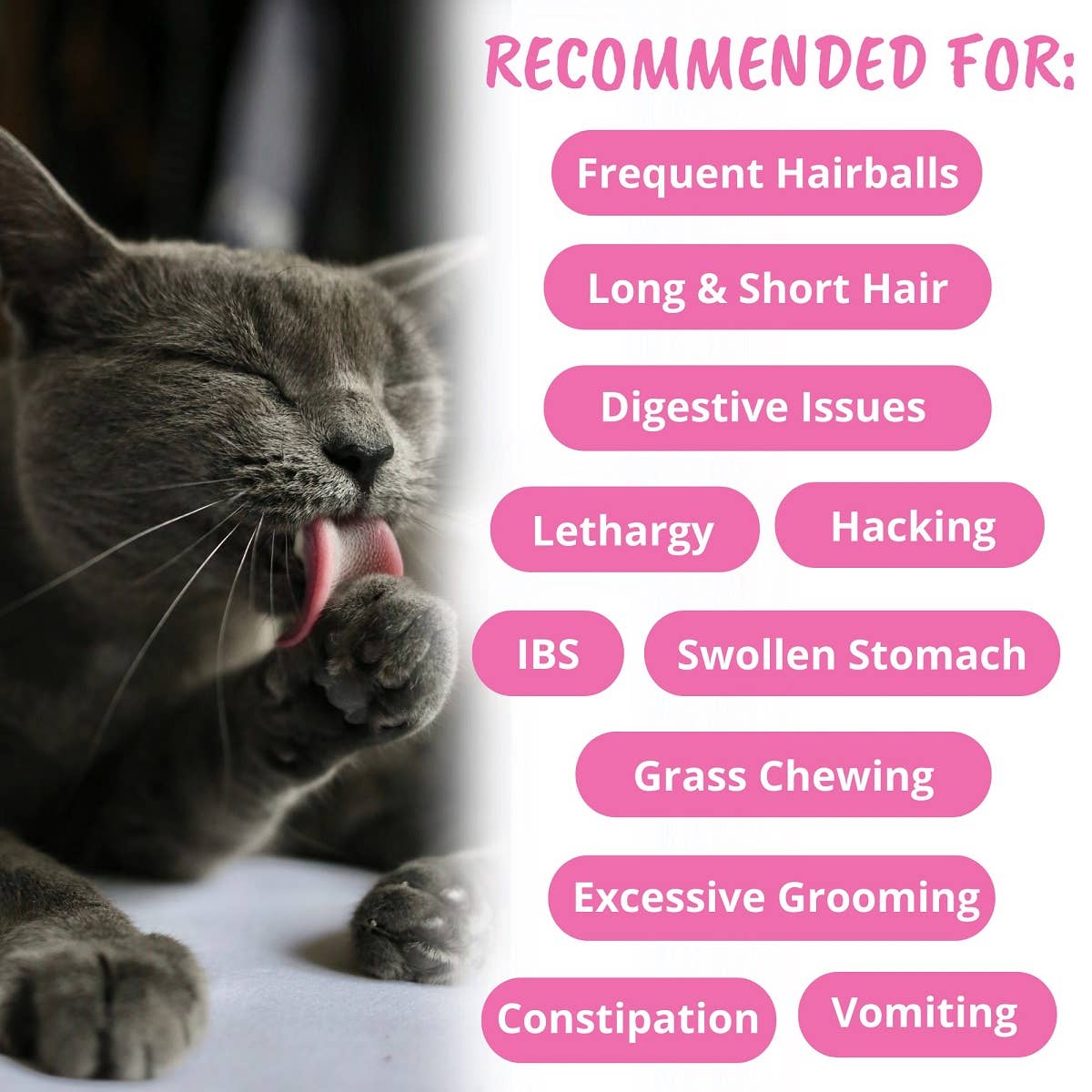 Under the Weather Cat Hairball Support Chews 60 ct.