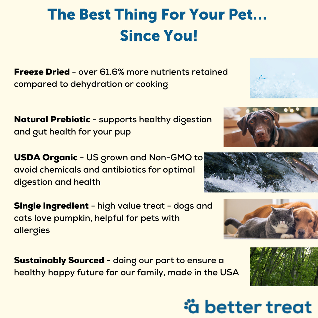 Organic Freeze Dried Pumpkin Dog and Cat Treats: Standard 1 Pack