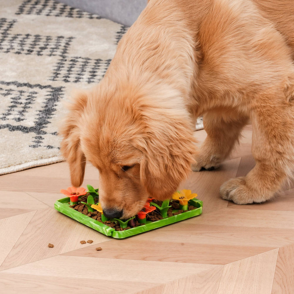 Wildflower Foraging Mat for Dogs