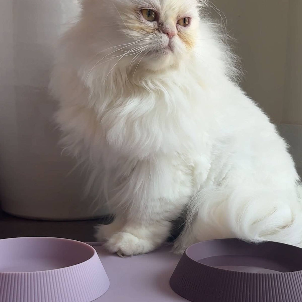 Houndstone Silicone Cat Bowl