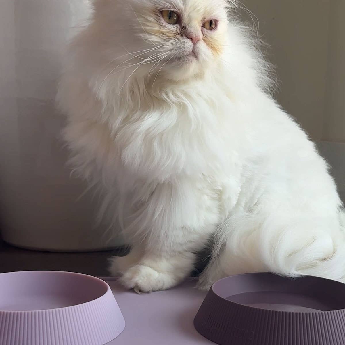 Houndstone Silicone Cat Bowl