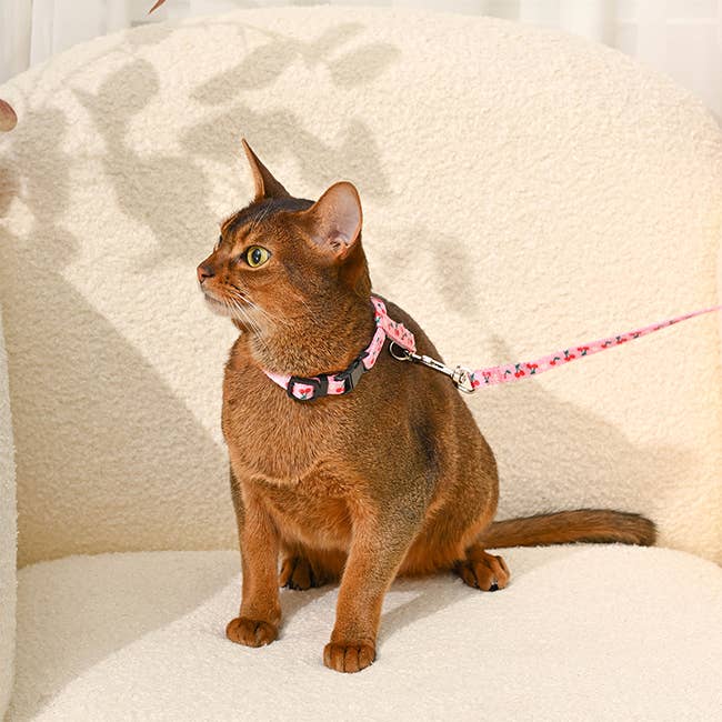HugSmart Pet - Cat Harness & Leash Set | Cherry