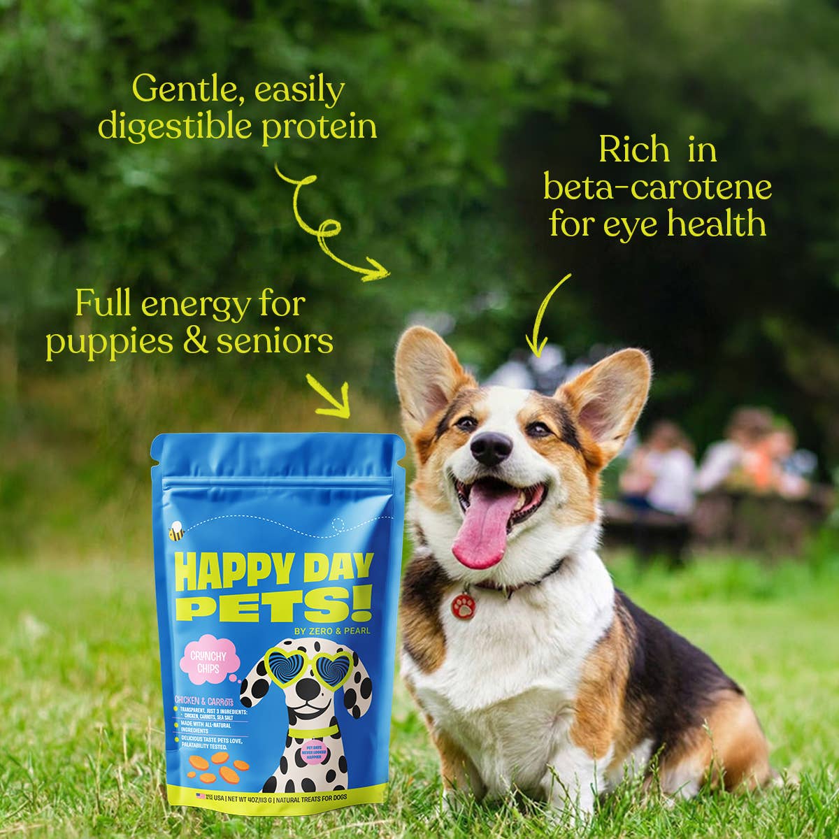 Happy Day Pets Chicken & Carrot Chips Dog Treats