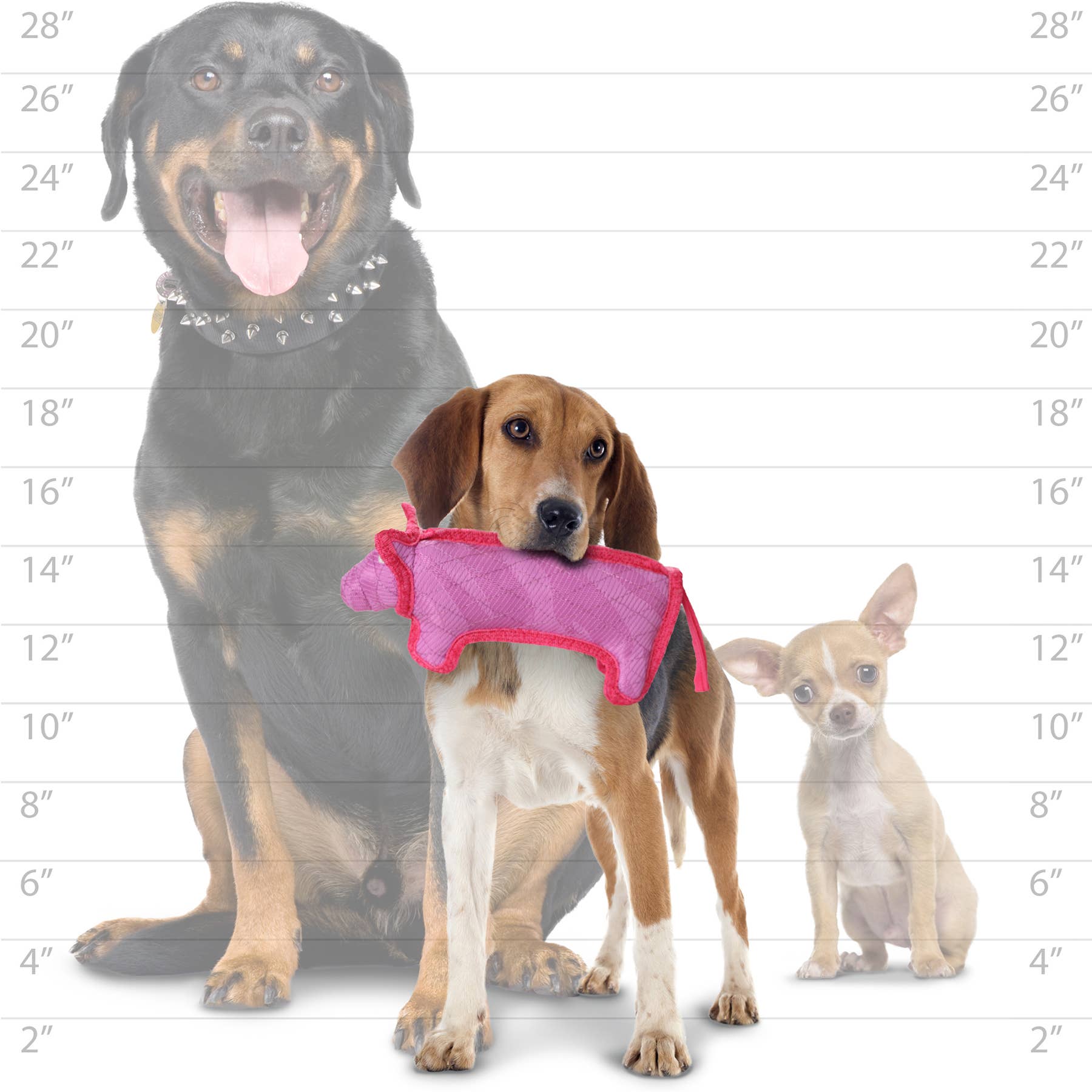 DuraForce Pig - Pink, Durable, Squeaky Dog Toy