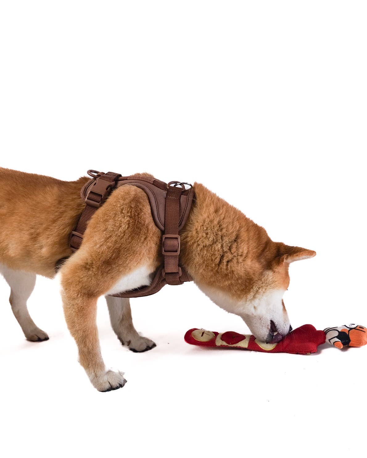 Chicago Marquee Nose Work Dog Toy