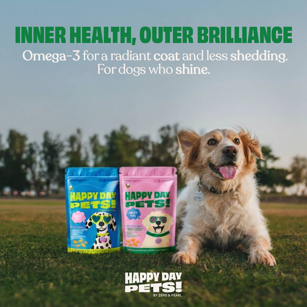 Happy Day Pets Salmon & Sweet Potato Chips Dog Treats