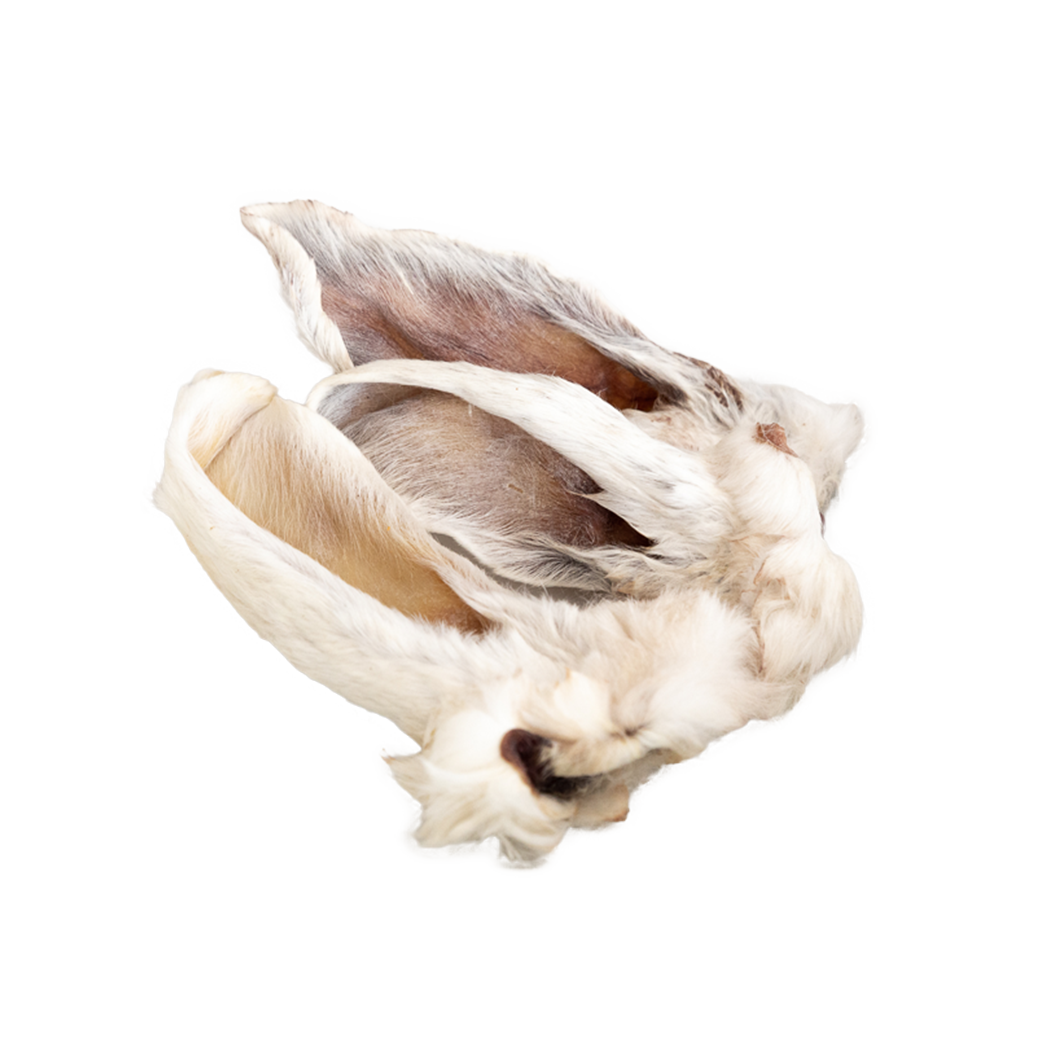 Dehydrated Rabbit Ears: 2 pack - Sample
