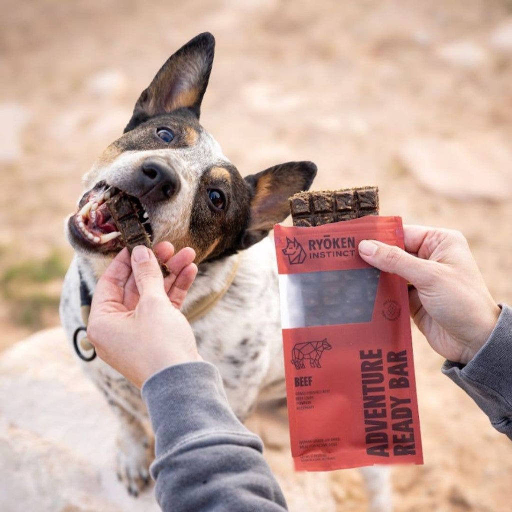Beef Treat & Snack Bar