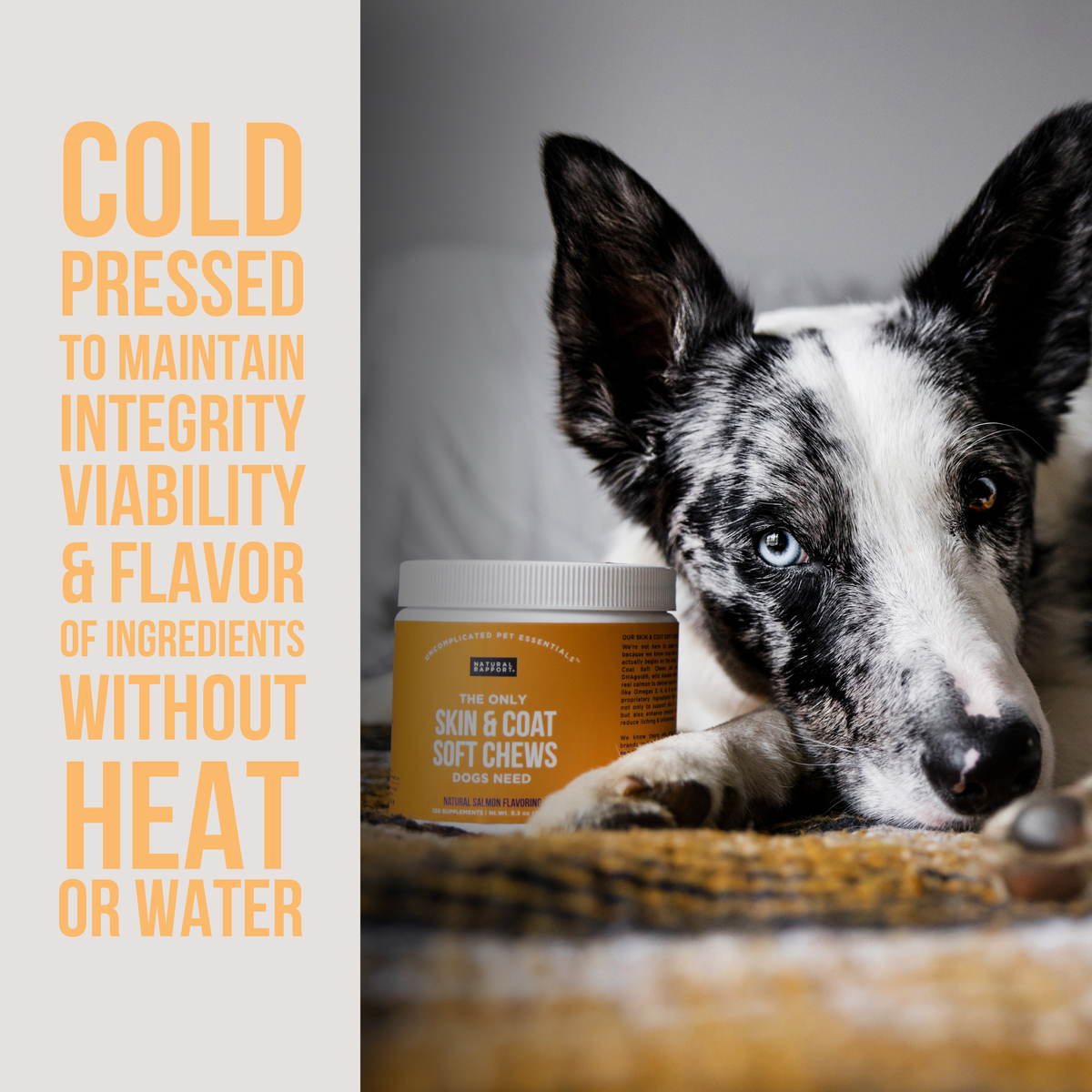 The Only Skin & Coat Soft Chews Dogs Need: 12 count pouch