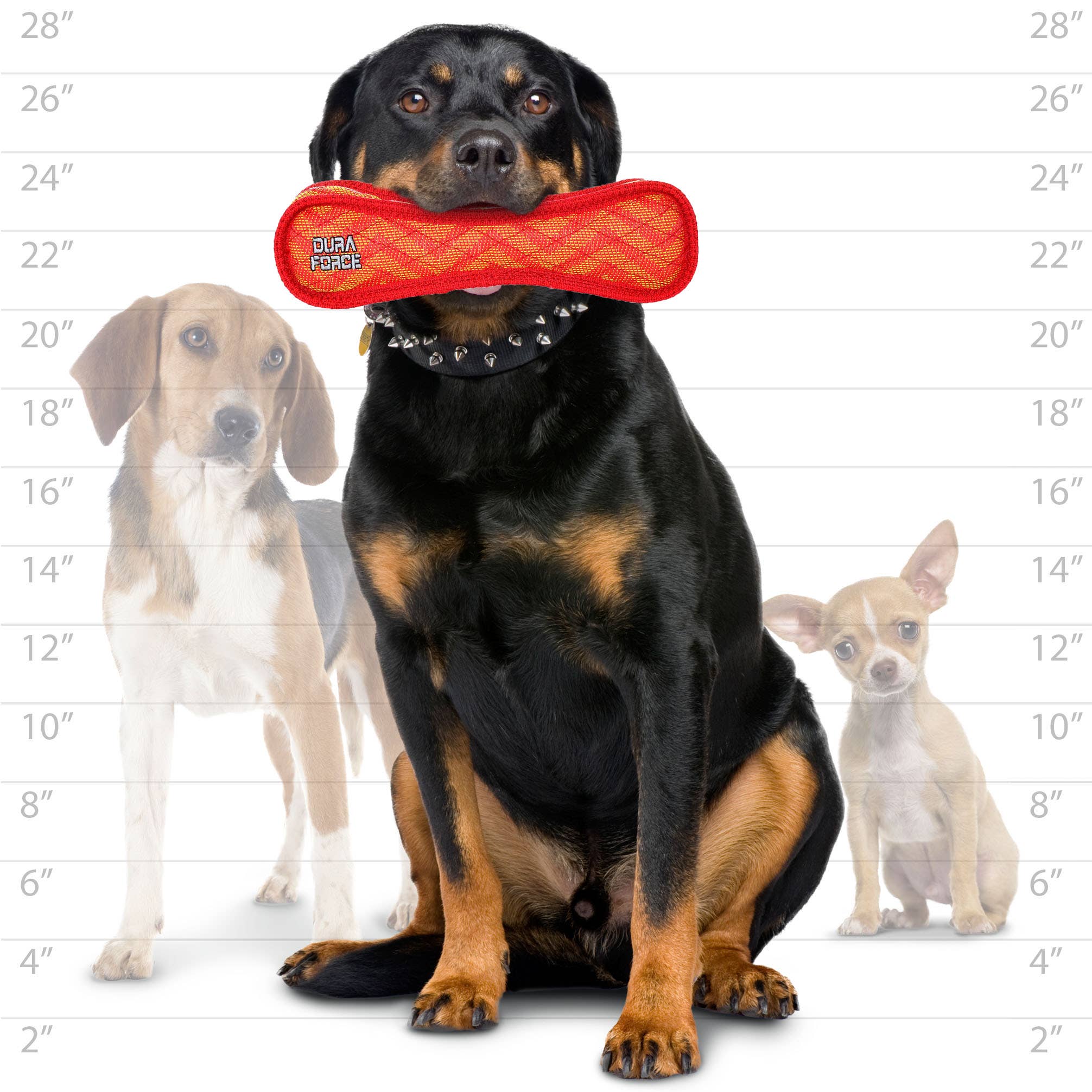 DuraForce Bone ZigZag - Red, Durable, Squeaky Dog Toy