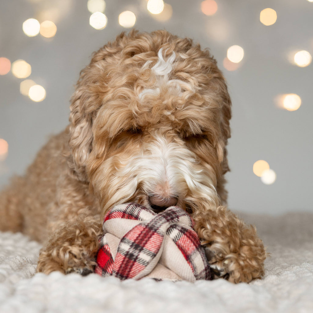 FLANNEL MONTI // ENRICHMENT DOG TOY // HOLIDAY