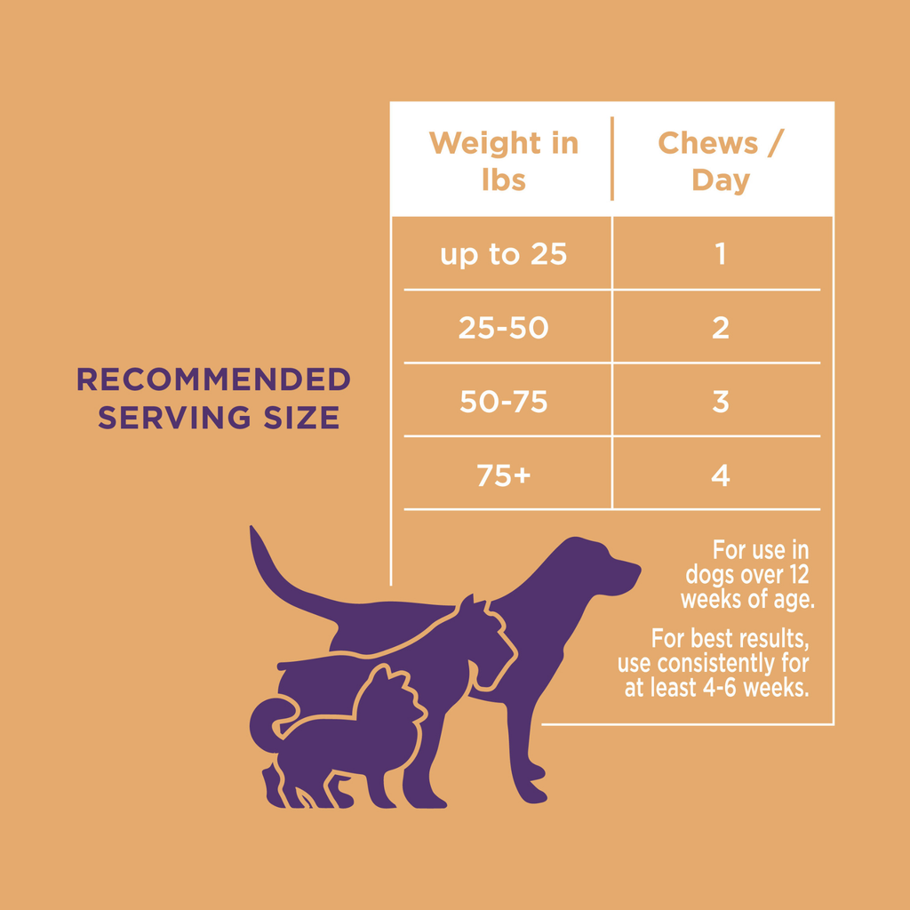 The Only Skin & Coat Soft Chews Dogs Need: 12 count pouch